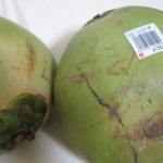 3785a9b5 s 150x150 - 椰子の実とココナッツの違い / 椰子の実の分類