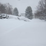 IMG 0049 150x150 - ちょっと雪の多い日に雪遊びしてみた / モミの木の下っていいですね
