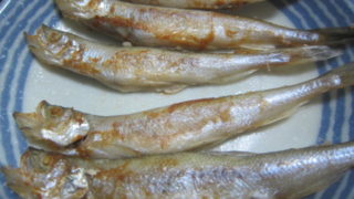 IMG 0026 320x180 - 本物のシシャモ(柳葉魚)を焼いて食べた感想 / 樺太シシャモ(カペリン)との味の違いについて