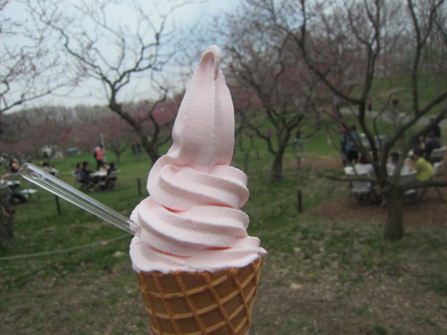 IMG 0094 - 平岡公園梅林祭りの梅ソフトクリームと梅シューアイス