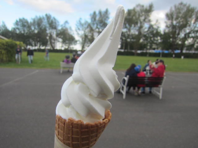 IMG 0231 - 今年も食べに行った八紘学園のソフトクリームですが人多過ぎ