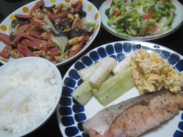 IMG 0071 - ネギ焼きとハム野菜炒めとシャケのムニエル