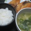 IMG 0571 100x100 - 鯖の味噌煮と豚汁が日本食で至高の組み合わせだと思います