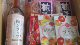 IMG 1445 320x180 - 和歌山JAの梅で酢欲しさに梅シラップなるものも注文してみた