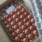 IMG 1687 150x150 - 北海道が卵不足で品切れらしいので通販で卵ポチってみた