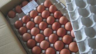 IMG 1687 320x180 - 北海道が卵不足で品切れらしいので通販で卵ポチってみた