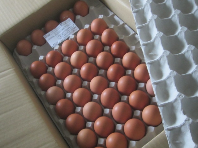 IMG 1687 - 北海道が卵不足で品切れらしいので通販で卵ポチってみた