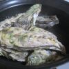 IMG 2217 100x100 - 知内産の殻ごとな牡蠣を鍋で酒蒸しにした