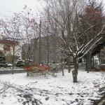 北海道の冬の生活02　～雪の中歩いてみた～