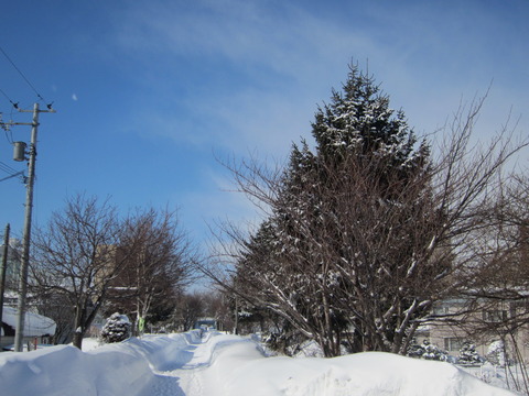 2013年　さっぽろ雪祭りPart1　～初日の天気気温、他大雪像紹介～