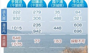 千葉と茨城の湖沼の底土セシウム