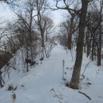冬の雪山登山に挑戦 / 円山に登ってきましたPart2