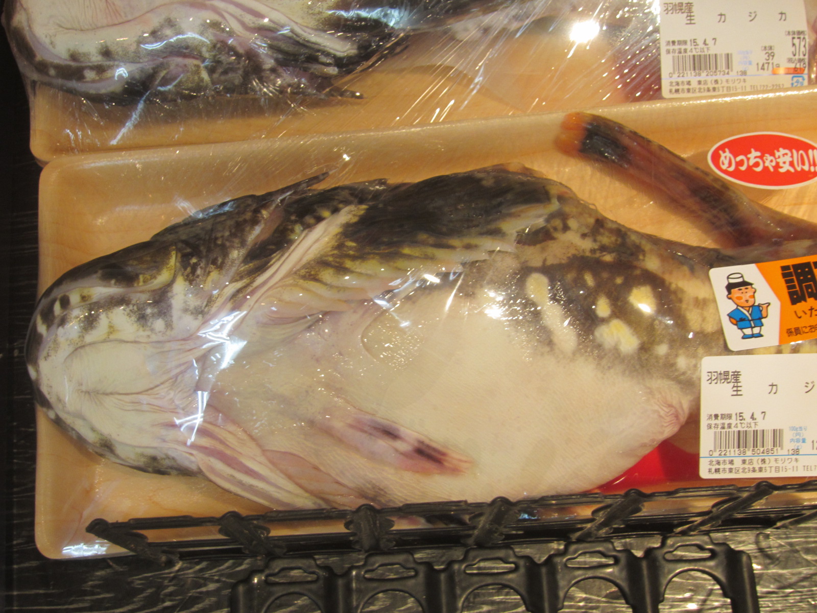 生カジカ カマス キュウリ 魚です 北海道の食事ブログ
