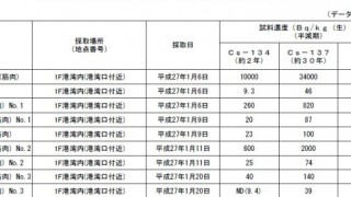 ここ最近の福島のイキモノのベクレル数