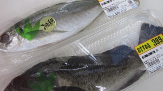 新札幌駅ホクノースーパーでお魚さん発見しました　