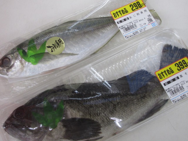 IMG 0022 640x480 - 新札幌駅ホクノースーパーでお魚さん発見しました　