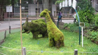 円山動物園のアフリカゾーン見てきました