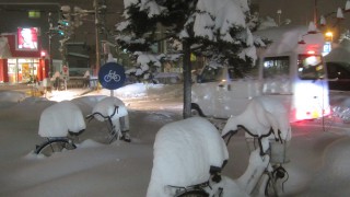 今年の札幌は雪が降るのが随分遅かったように思います