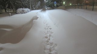 なんかまた大雪で凄いドッサリ積もりました