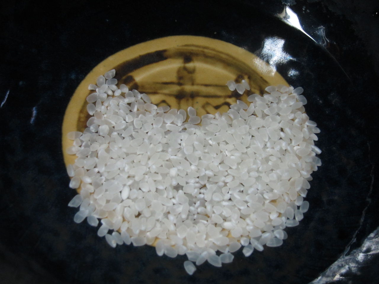 生米を食べてみた 北海道の食事ブログ