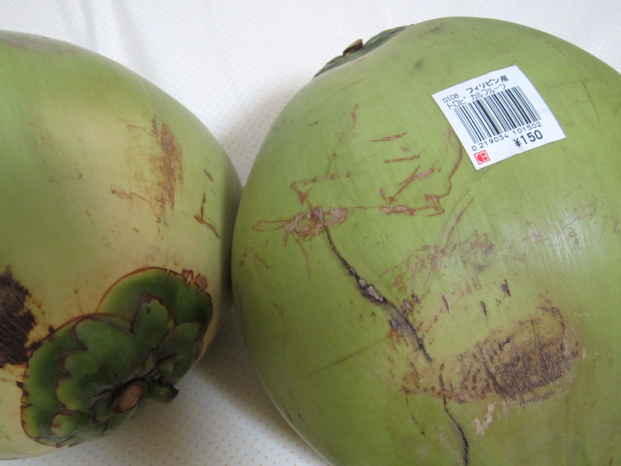 椰子の実とココナッツの違い 椰子の実の分類 北海道の食事ブログ