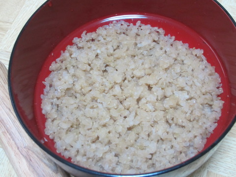 3e69c675 s - 糒の作り方後編 / 一度乾燥させた玄米を食してみました