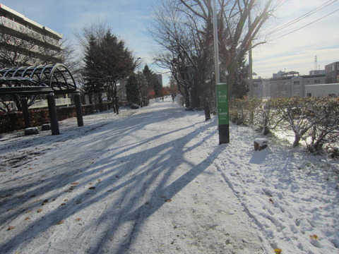 463e23bf s - 2013北海道(札幌)の初雪