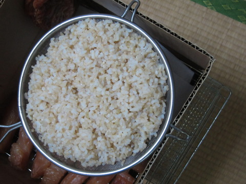 483a2975 s - 糒の作り方中編　まずは炊いた玄米を干してみます