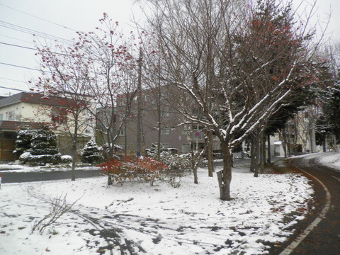 b6ead95e s - 北海道の冬の生活02　～雪の中歩いてみた～