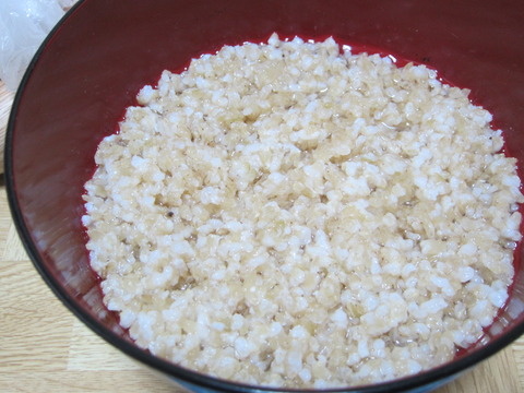 d11265cb s - 糒の作り方後編 / 一度乾燥させた玄米を食してみました