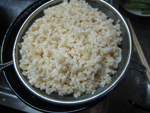 f13a043a s - 糒の作り方前編　玄米を炊いて水洗いしてヌメリ取り