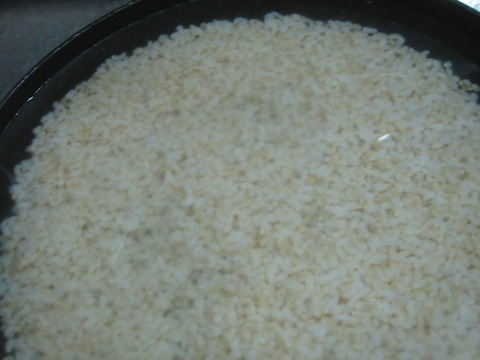 f7b3e86d s - 糒の作り方前編　玄米を炊いて水洗いしてヌメリ取り