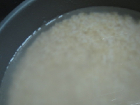 fbcf25f4 s - 糒の作り方前編　玄米を炊いて水洗いしてヌメリ取り